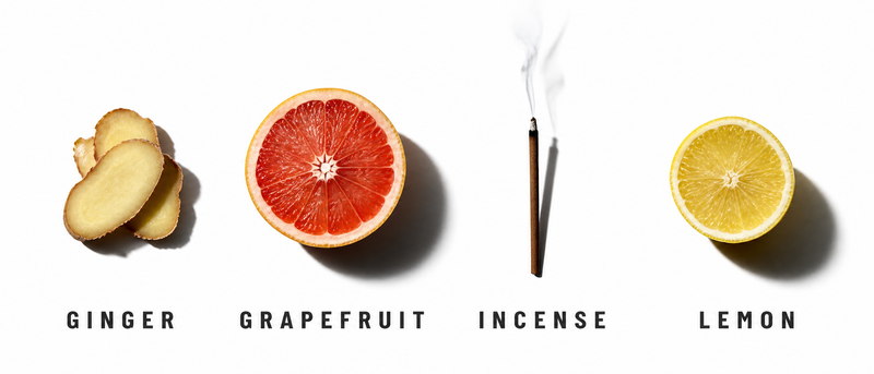 Fragrance Notes