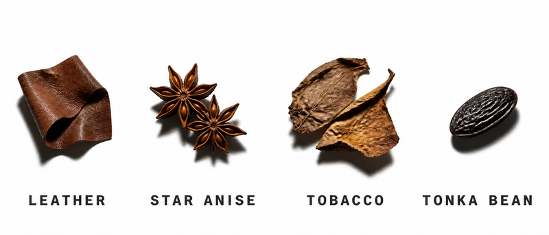 Fragrance Notes