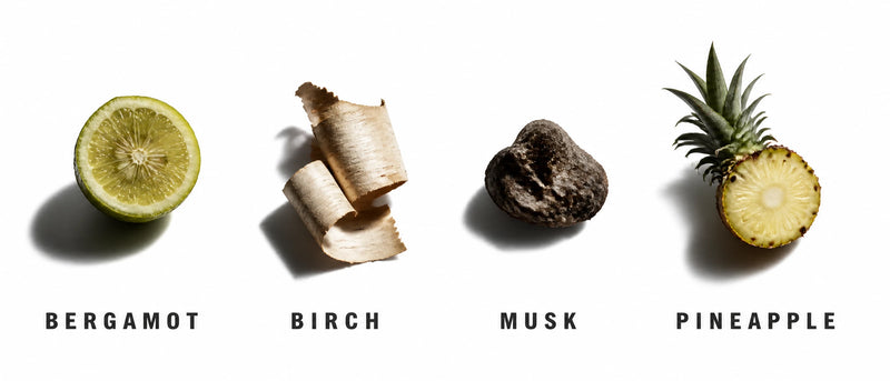 Fragrance Notes
