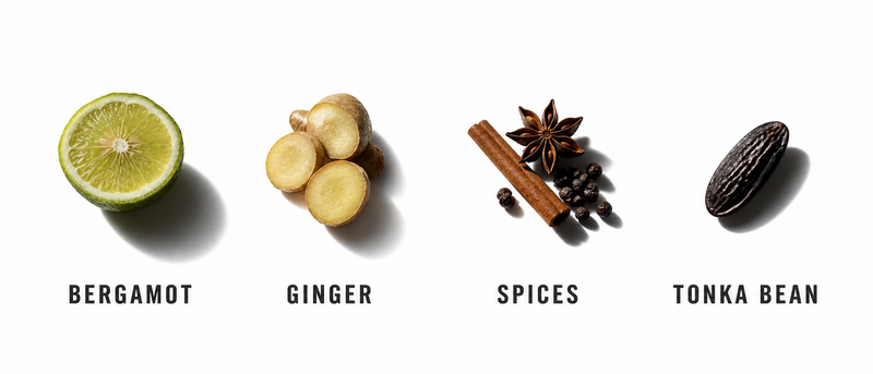 Fragrance Notes