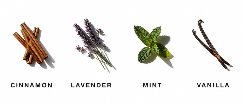 Fragrance Notes