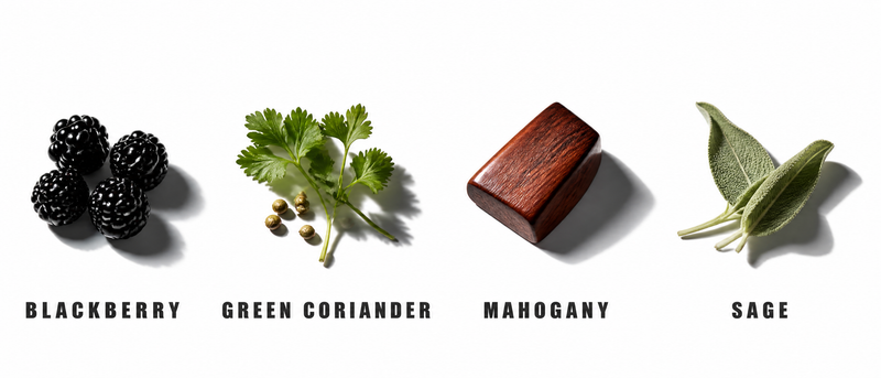 Fragrance Notes