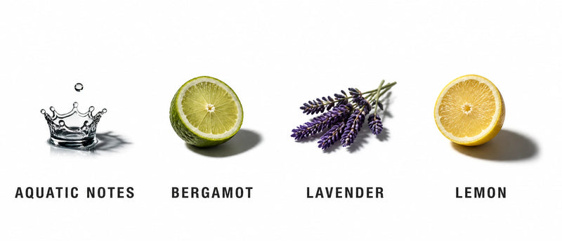Fragrance Notes