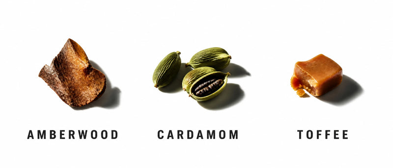 Fragrance Notes