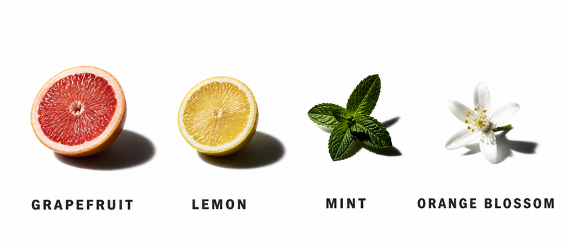 Fragrance Notes