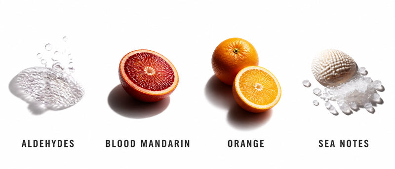 Fragrance Notes