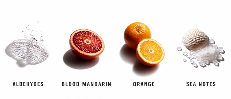 Fragrance Notes